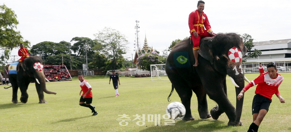 태국 아유타야 주의 한 학교 학생이 12일 열린 코끼팀과의 친선 축구경기에서 공을 차고 있다.