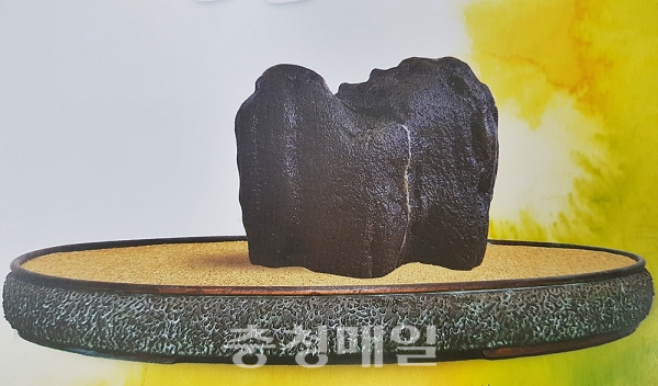 충북도수석인연합회원전에 출품된 비류직하삼천척(飛流直下三千尺).