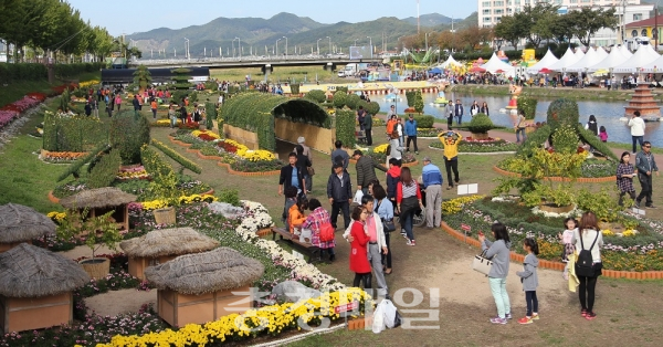 2018 보은대추축제장 보청천 둔치 3천300㎡에 마련된 ‘국화 꽃동산’이 관광객들에게 가을 추억을 담을 수 있는 곳으로 큰 인기을 얻고 있다.