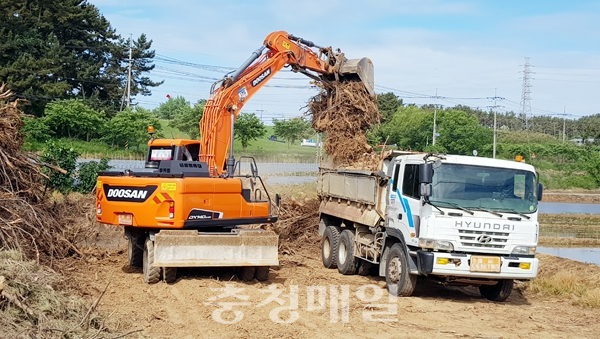 태안군 태안읍 삭선리 선박단지 공사현장에서 임목폐기물을 트럭에 싣고 있다.