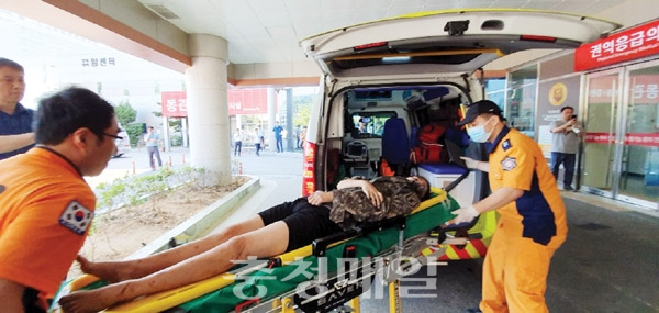 지난 2일 충북 보은군 회인면 야산에서 구조된 조은누리양이 오후 5시께 충북대학교병원 응급실로 이송되고 있다.