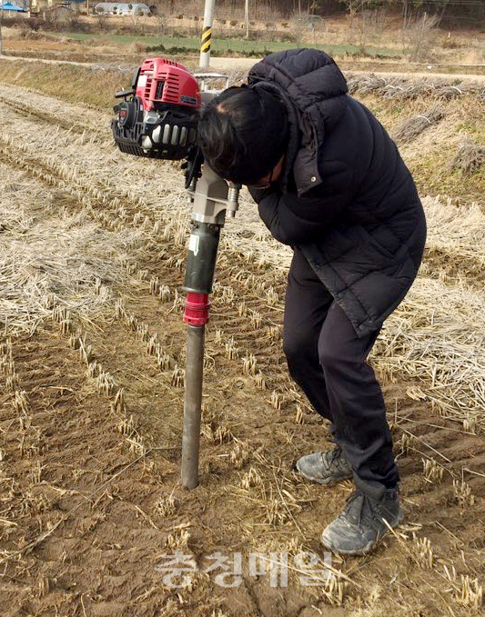 태안군이 지난 2월과 4월에 ‘피트’ 자원 매장 발굴조사를 진행했다.