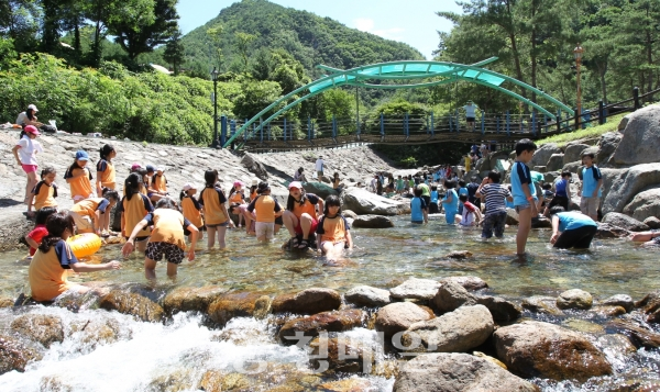 단양 다리안 계곡을 찾은 어린이들이 물놀이를 하고 있다.