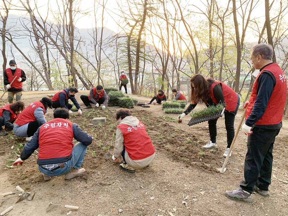 교현안림동 주민자치위원회가 만리산 사계공원에 나무와 초화류를 식재하고 있다.