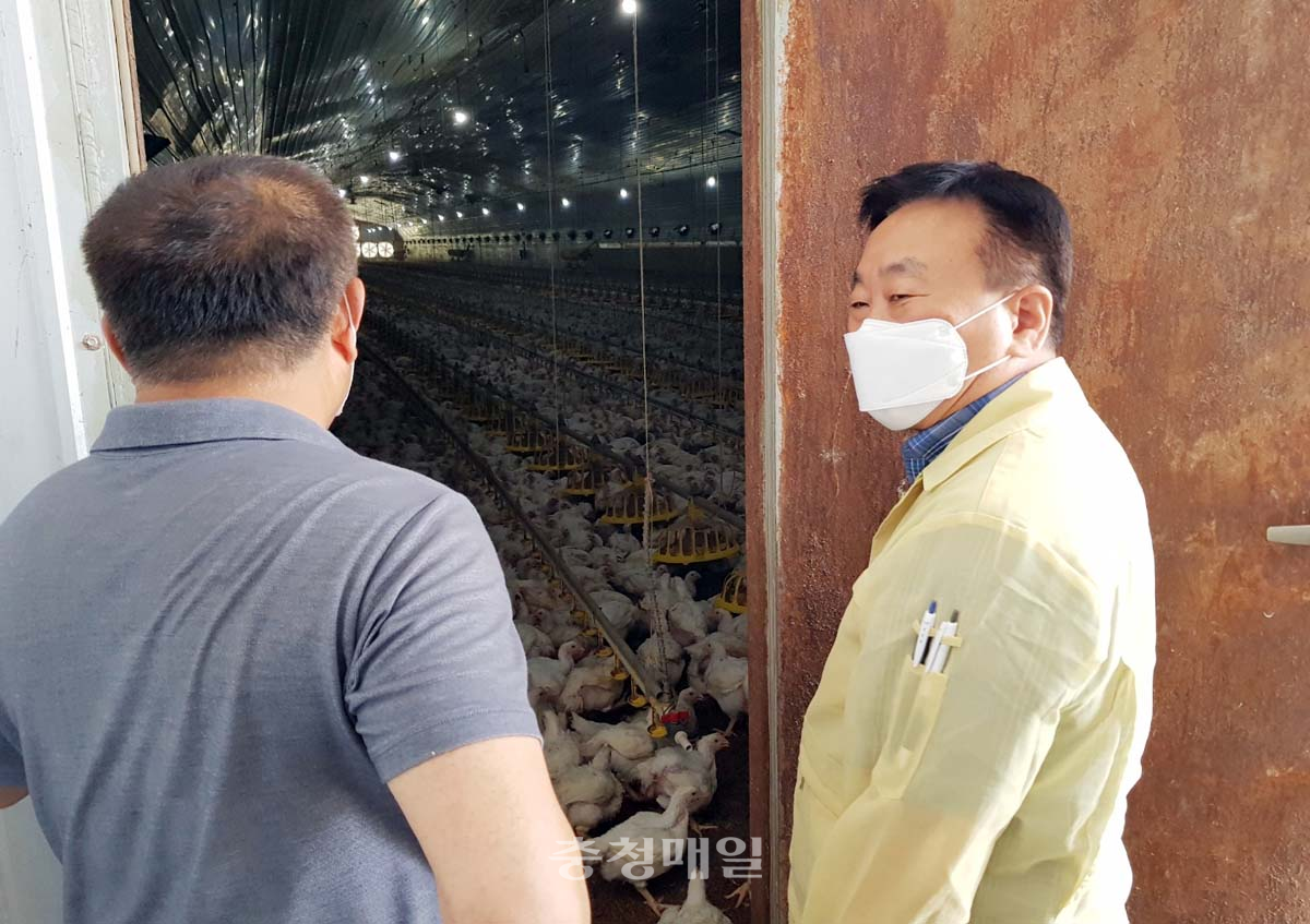 정경화(오른쪽) 충북도 농정국장이 영동군을 방문, 육계 사육 농가의 폭염 피해 상황을 살펴보고 있다.