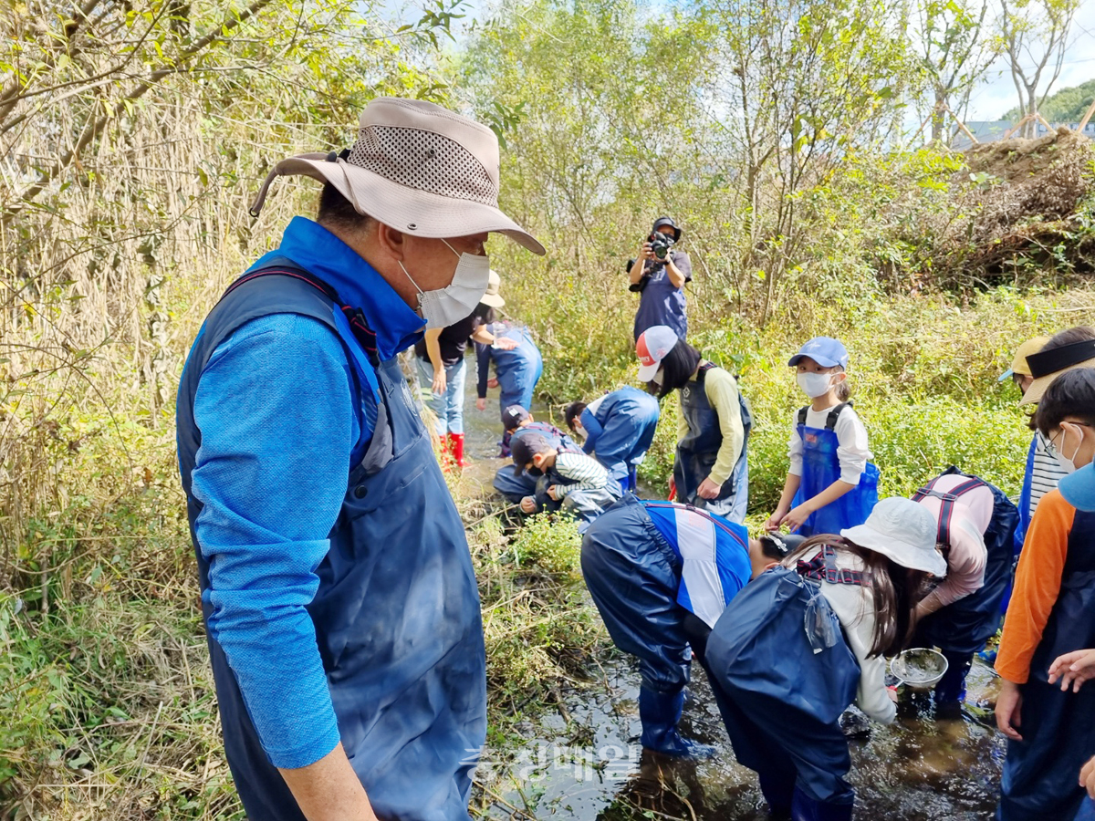 세종 대평초등학교 학생들이 용포천에서 물고기와 곤충을 채집하며 하천 생태계 체험을 하고 있다.