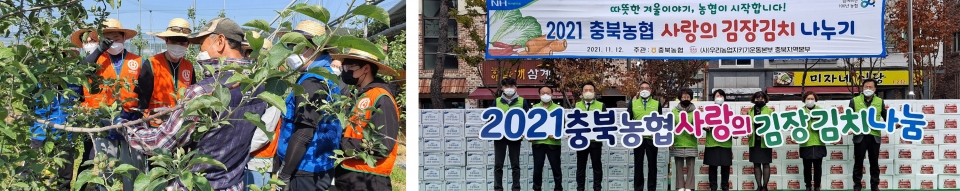 충북농협이 실시한 농촌일손봉사(왼쪽)와 사랑의 김장김치 나눔 행사 모습.