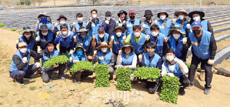 KT&G 원료본부와 김천공장 소속 임직원들이 잎담배 이식 봉사활동 기념촬영을 하고 있다. 이들은 지난 19일 충북 제천시 잎담배 농가를 방문해 육묘를 운반하고 모종을 이식했다.