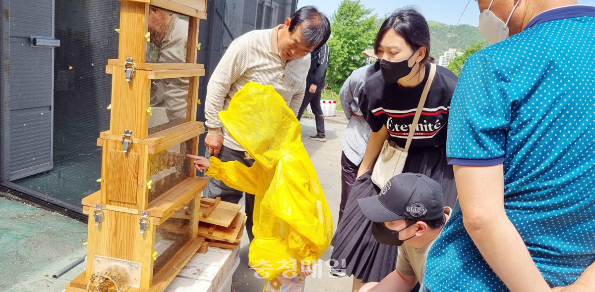 세종시가 ‘2022년 관광형 체험양봉 지원 사업’을 진행한다. 사진은 지난해 체험가족의 꿀벌집(봉군) 관찰 모습.