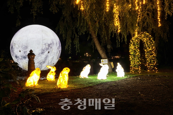 부여군 서동공원의 사랑공원 야간조명 모습.