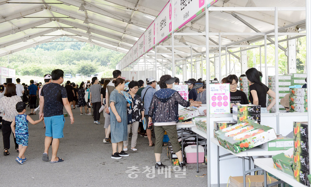 ‘제20회 조치원복숭아축제’가 조치원읍 도도리파크 일원에서 열린다. 사진은 2019년도 복숭아 판매장 모습.