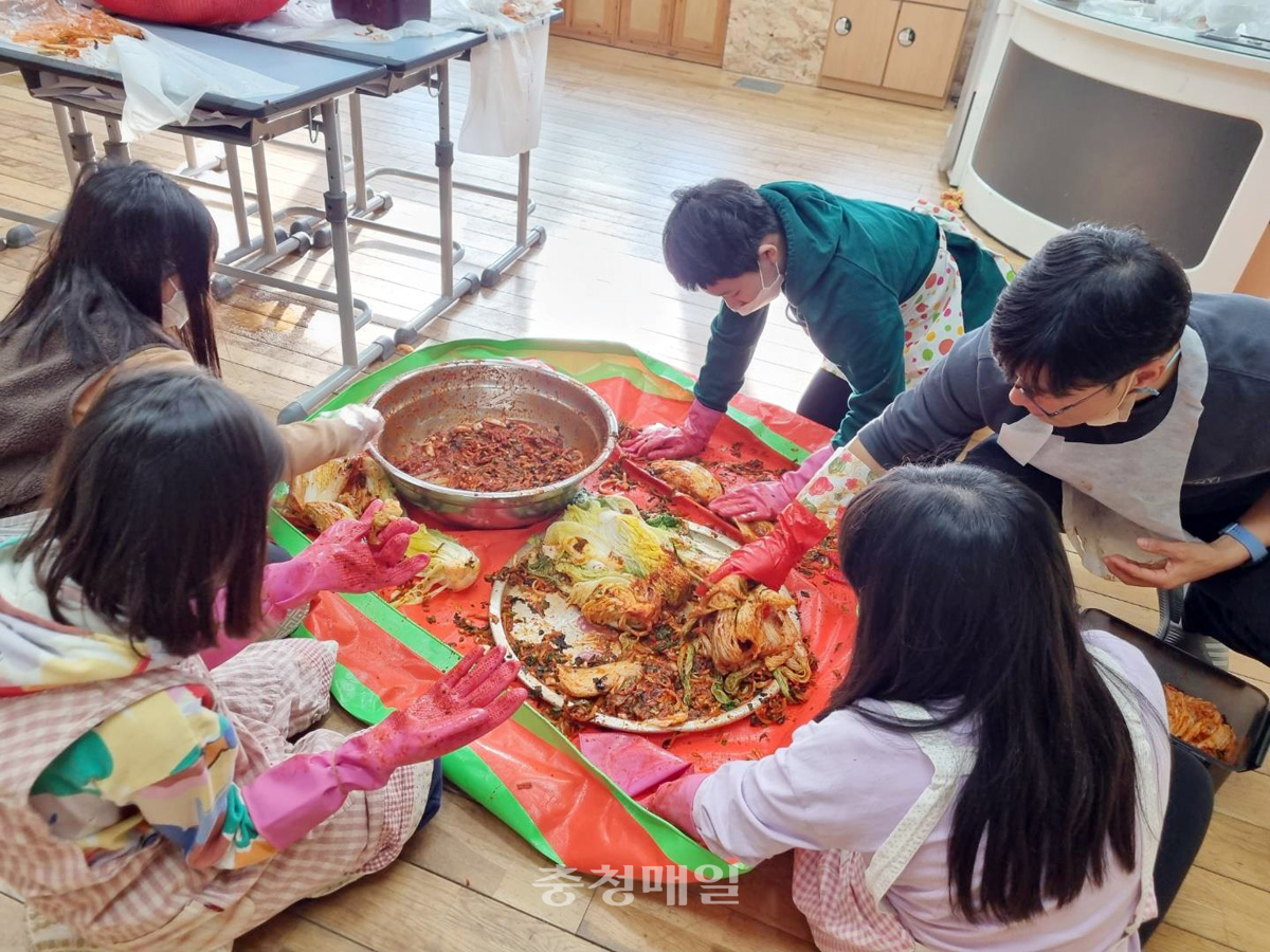 세종 쌍류초등학교 학생들이 텃밭에서 재배한 배추로 김장김치를 담그고 있다.