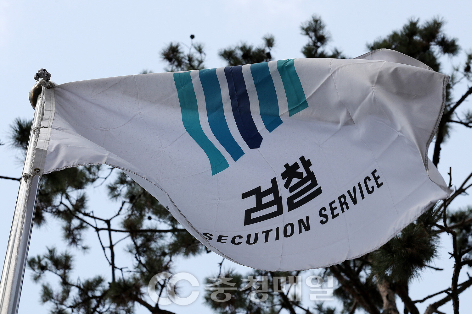 코인 범죄 꼼짝마