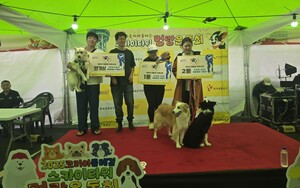 충남 홍성군, 관광과 연계한 걷기프로그램 '눈길' - 뉴스 썸네일 이미지