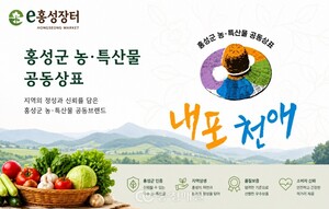 충남 홍성군, e홍성장터 문화 결합 온라인 플랫폼으로 도약 - 뉴스 썸네일 이미지