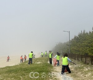 충남 보령시-한국문화정보원, 원산도해수욕장 플로깅 및 미소·친절·청... - 뉴스 썸네일 이미지